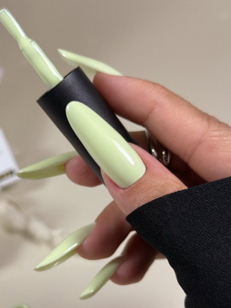 ALTA NIVELO НАБОР #277-282 ТИХАЯ РОСКОШЬ 6*10мл Гель-лаки   [64]